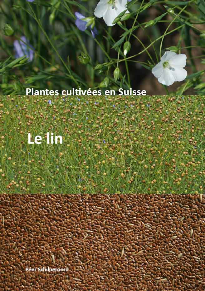 Linum
                        usitatissimum